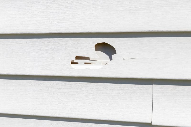 Vinyl Siding Repair Image 4