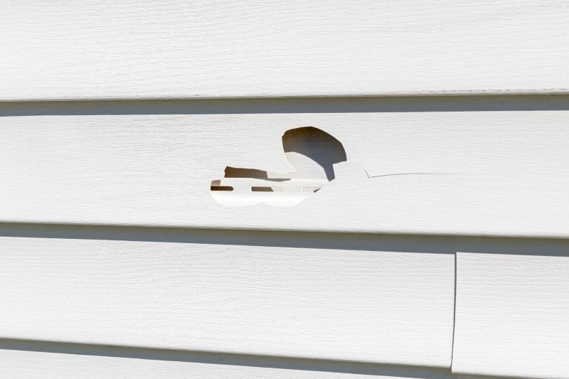 Vinyl Siding Repair Image 7