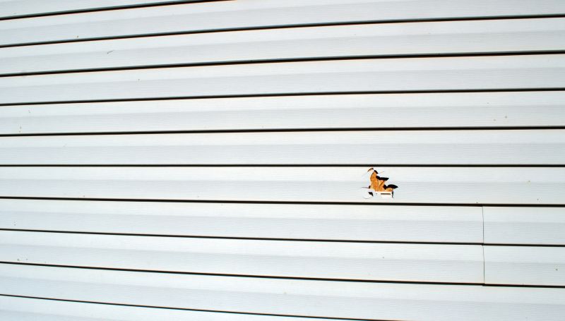 Signs You Need Siding Repair or Replacement